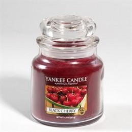 Yankee Candle housewarmer...
